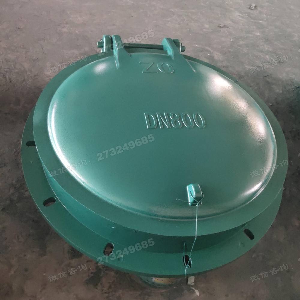 ZG标识DN800玻璃钢拍门