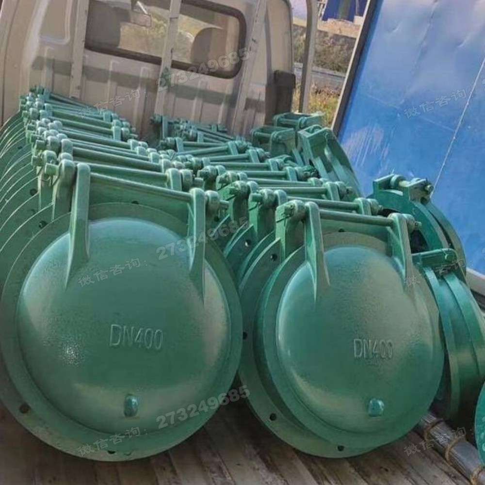 DN400玻璃钢拍门
