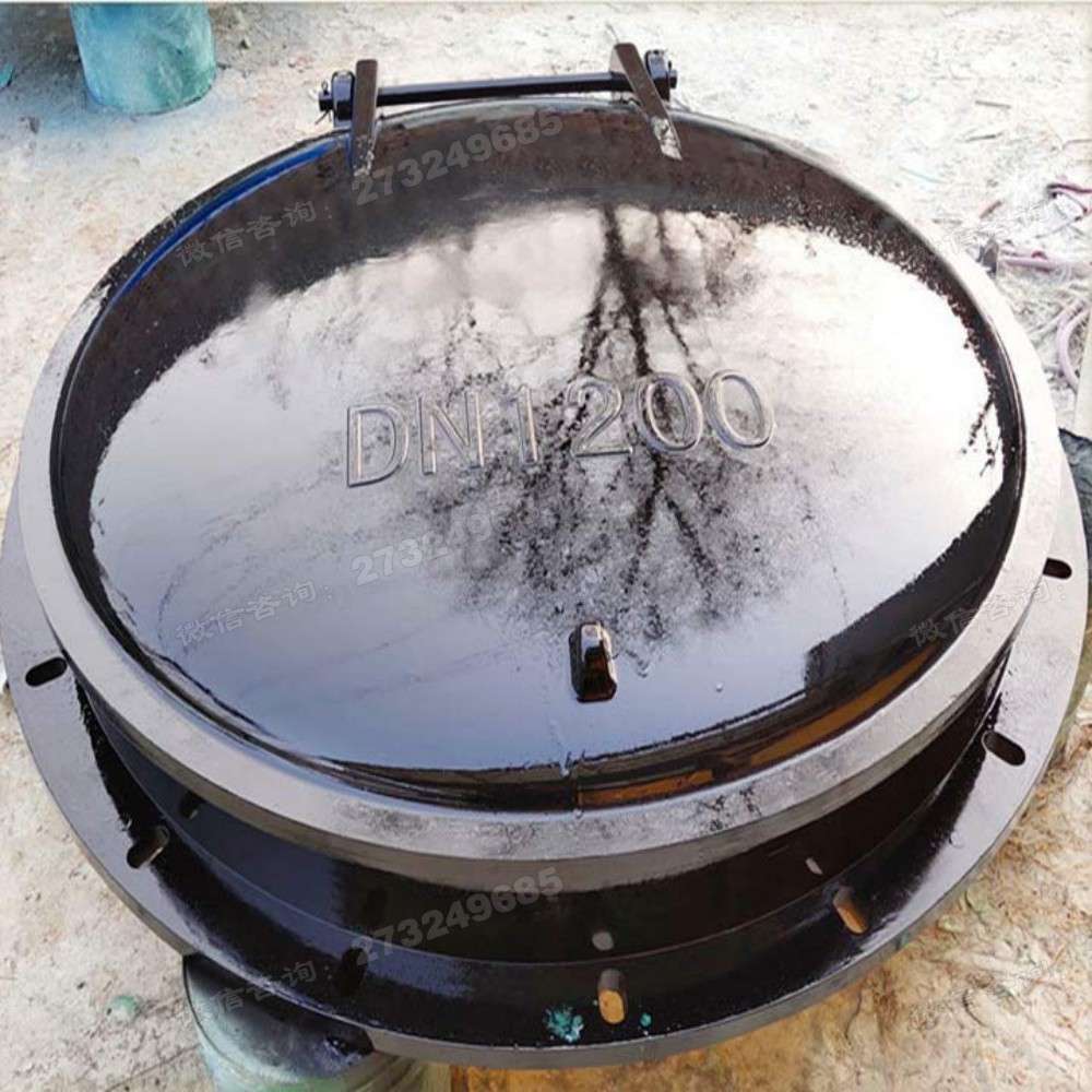 鹤山黑色DN1200玻璃钢拍门