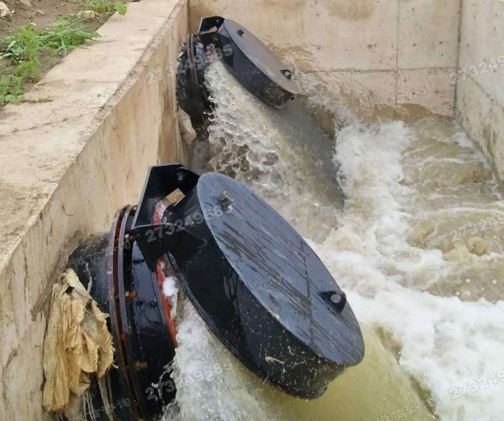 排水管道防潮拍门