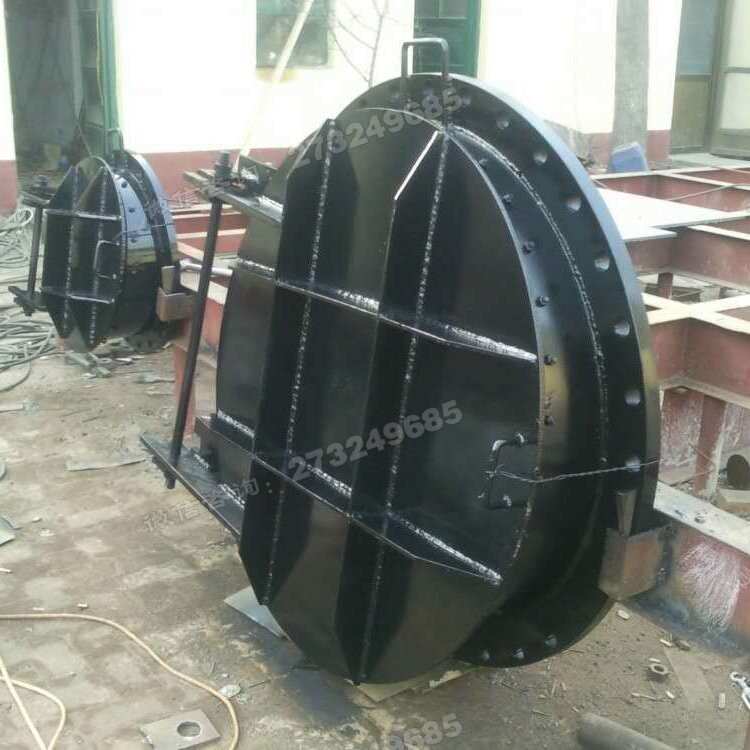 黑色加强型钢制拍门