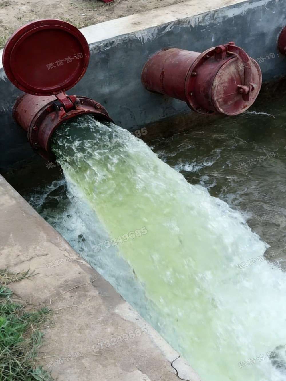 鹤山河道双组排水拍门